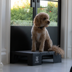 Pet Training Platform product image 6
