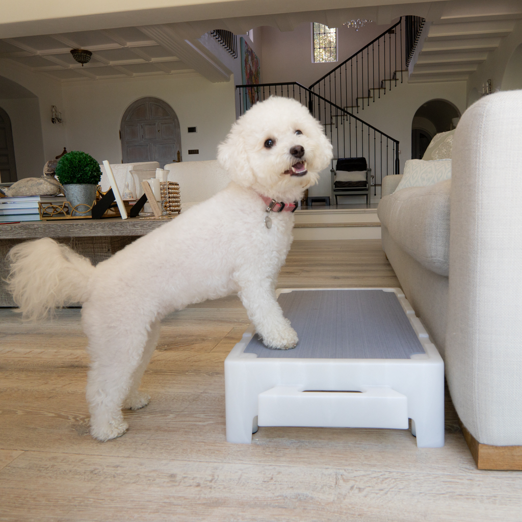 Pet Training Platform product image 8