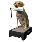 Pet Training Platform product image 9