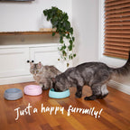 Cat Bowl product image 3