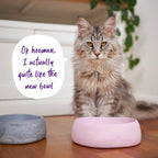 Cat Bowl product image 5