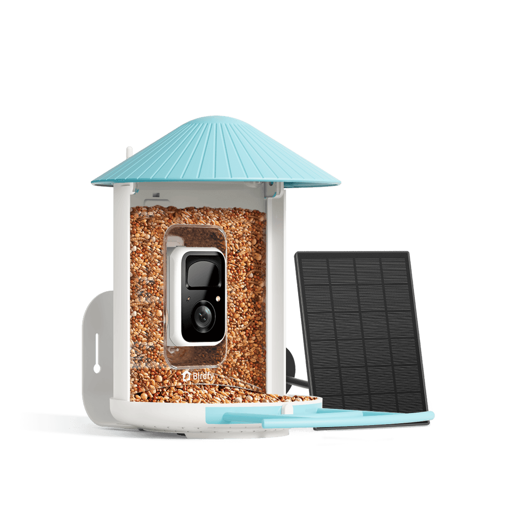 Smart Bird Feeder product image 1