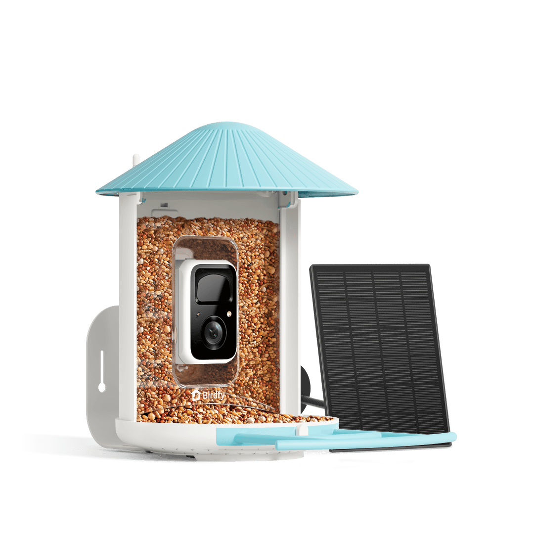 Smart Bird Feeder product image 1