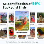 Smart Bird Feeder product image 3