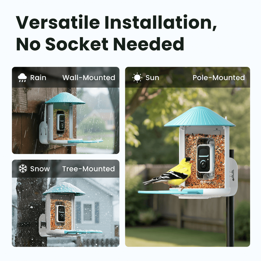 Smart Bird Feeder product image 6