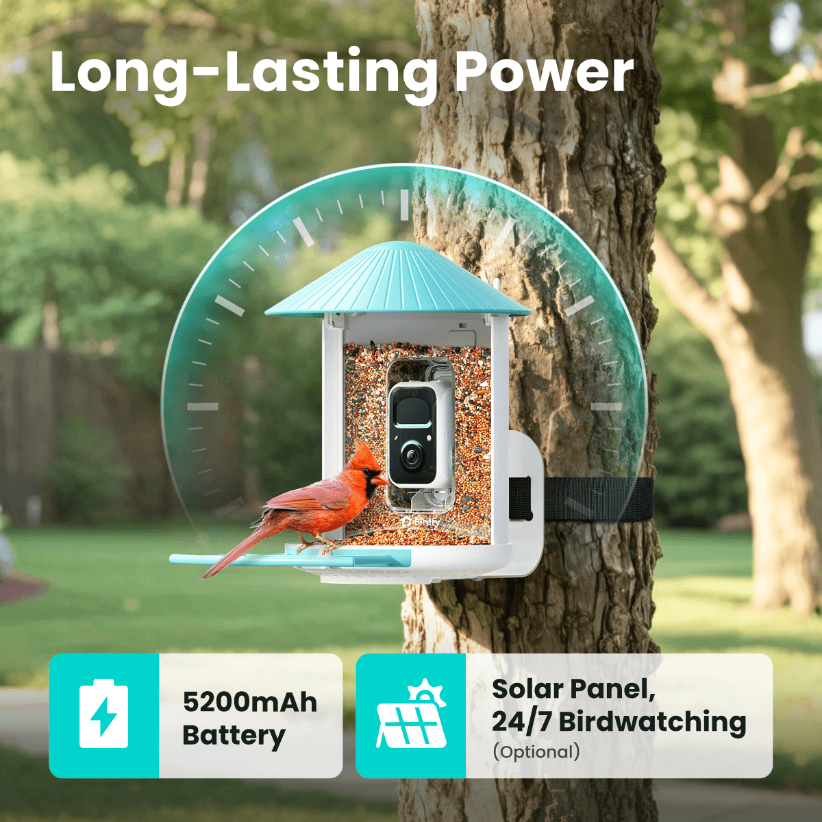 Smart Bird Feeder product image 7