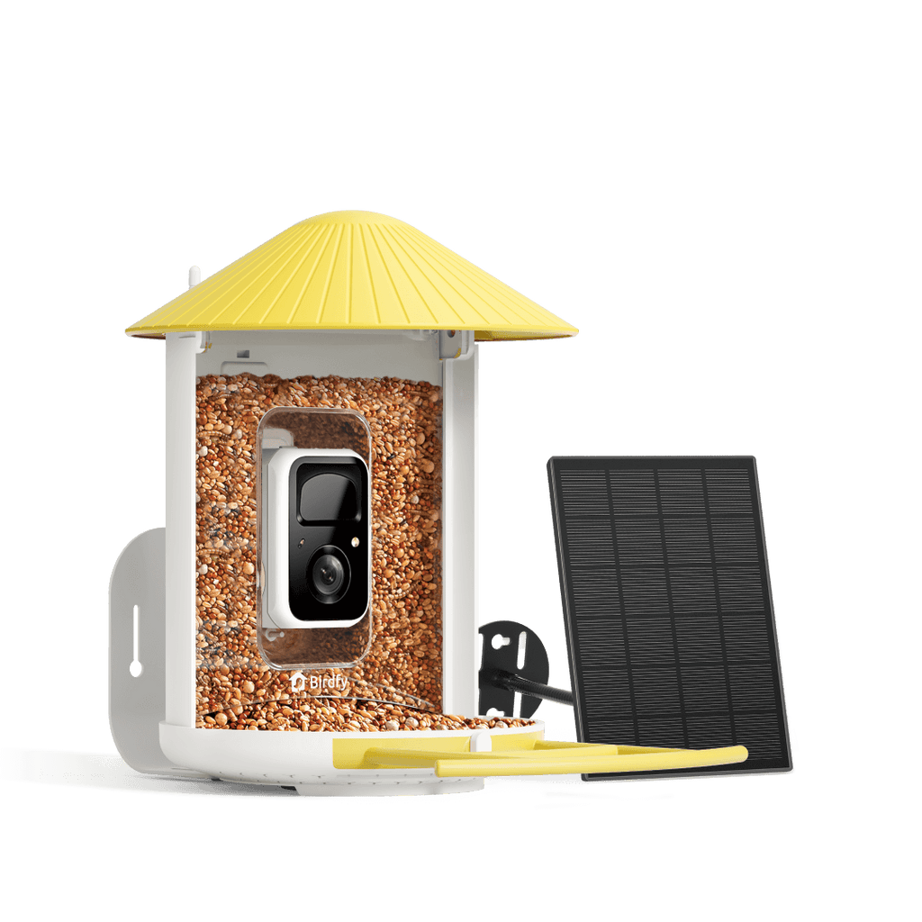 Smart Bird Feeder product image 14