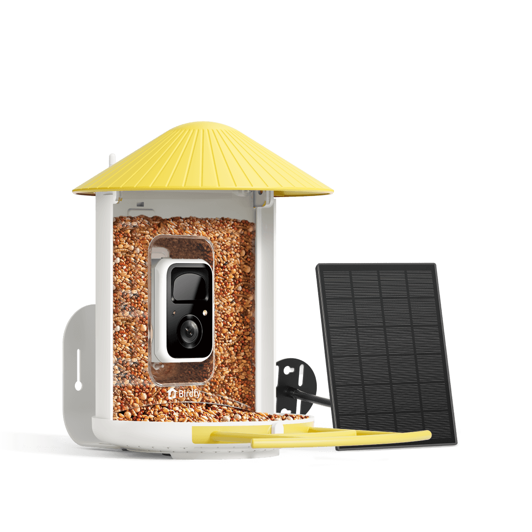 Smart Bird Feeder product image 14