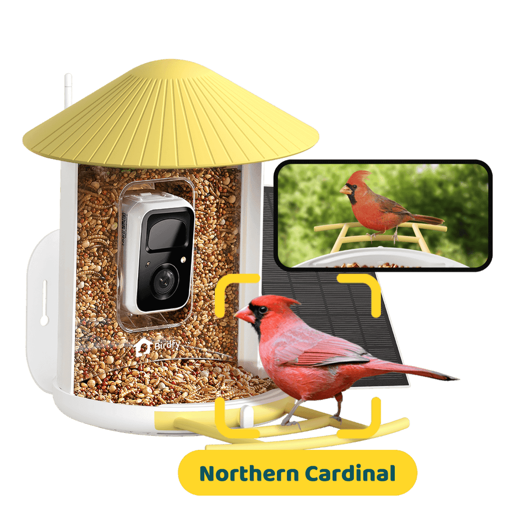 Smart Bird Feeder product image 15