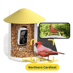 Smart Bird Feeder product image 15
