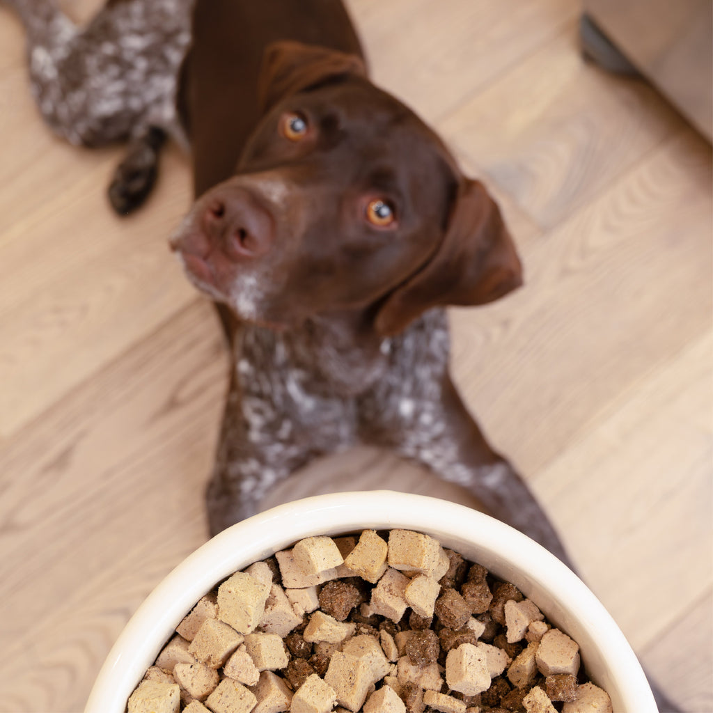 Dog Food Topper product image 5