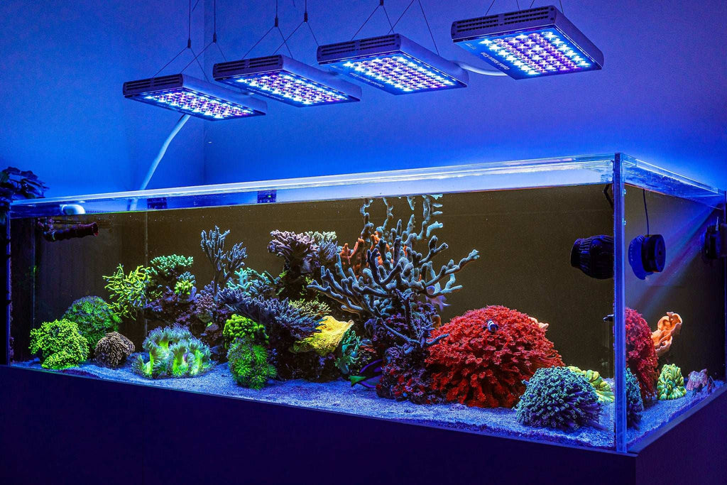 Aquarium LED Light product image 15