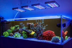 Aquarium LED Light product image 15