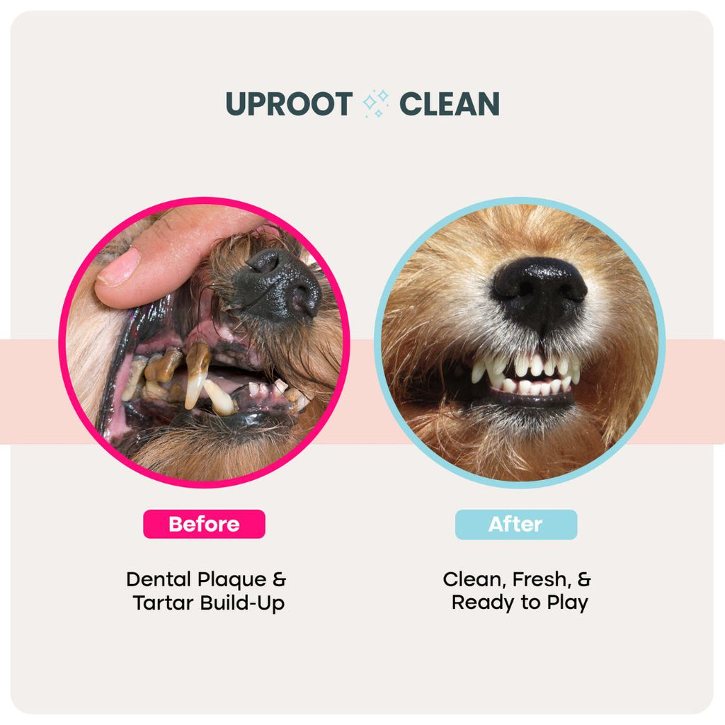 Pet Dental Wipes product image 2