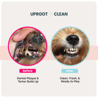 Pet Dental Wipes product image 2