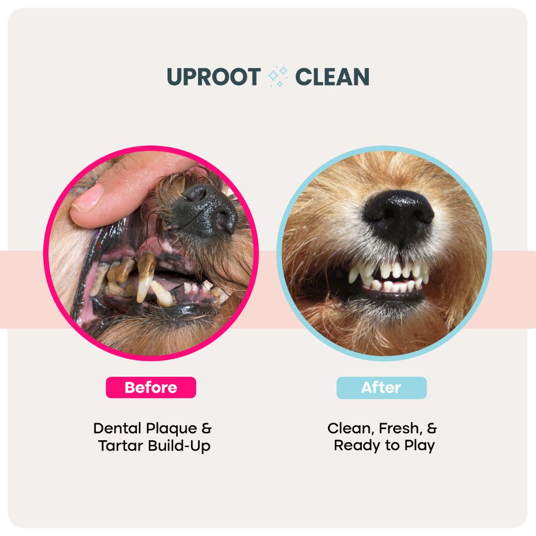 Pet Dental Wipes product image 2
