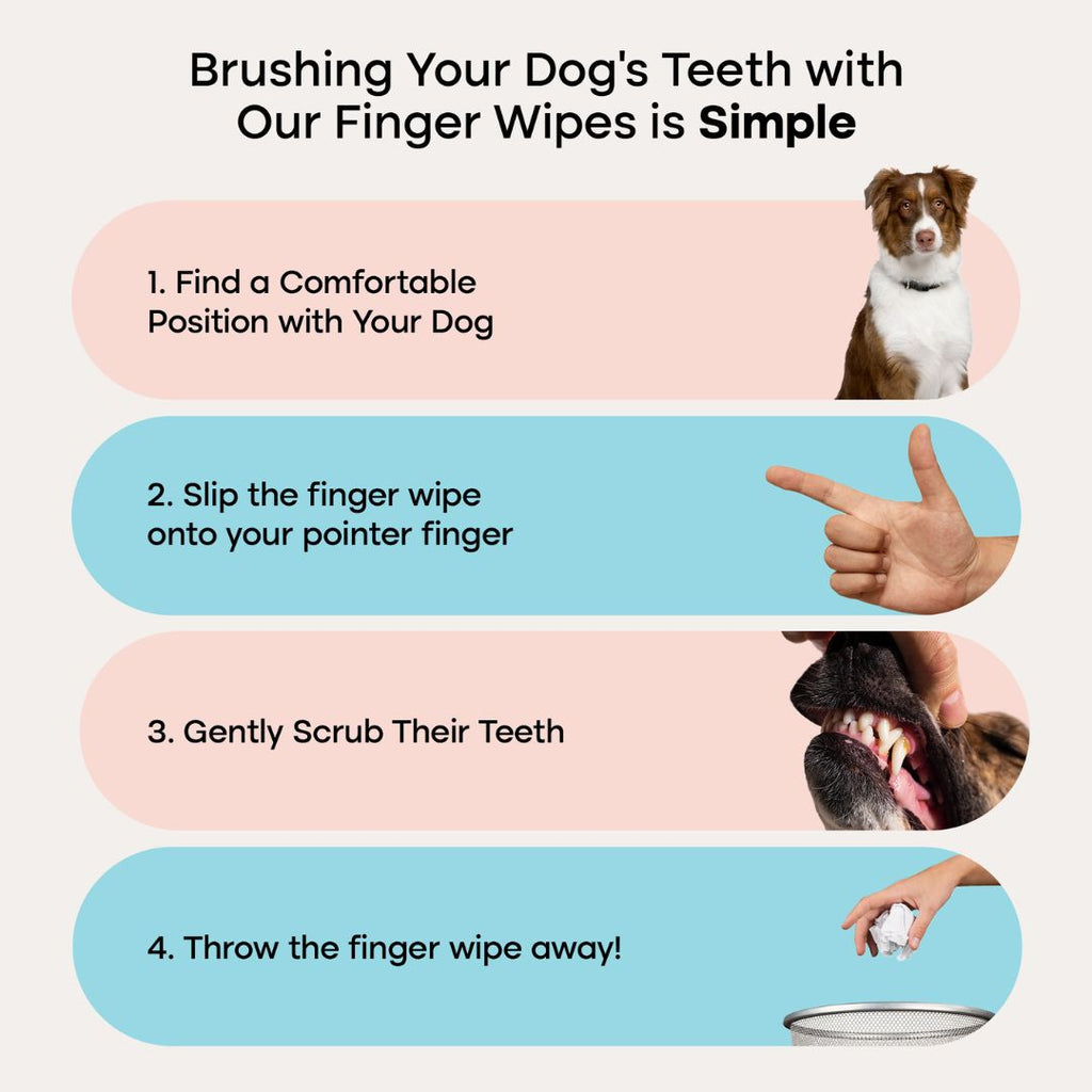 Pet Dental Wipes product image 6