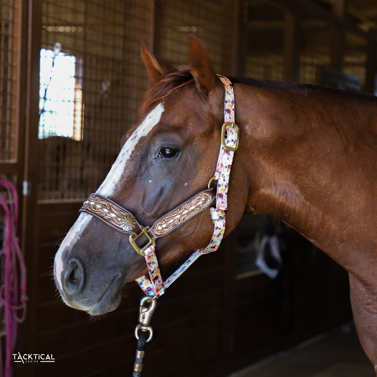 Leather Bronc Halter product image 1