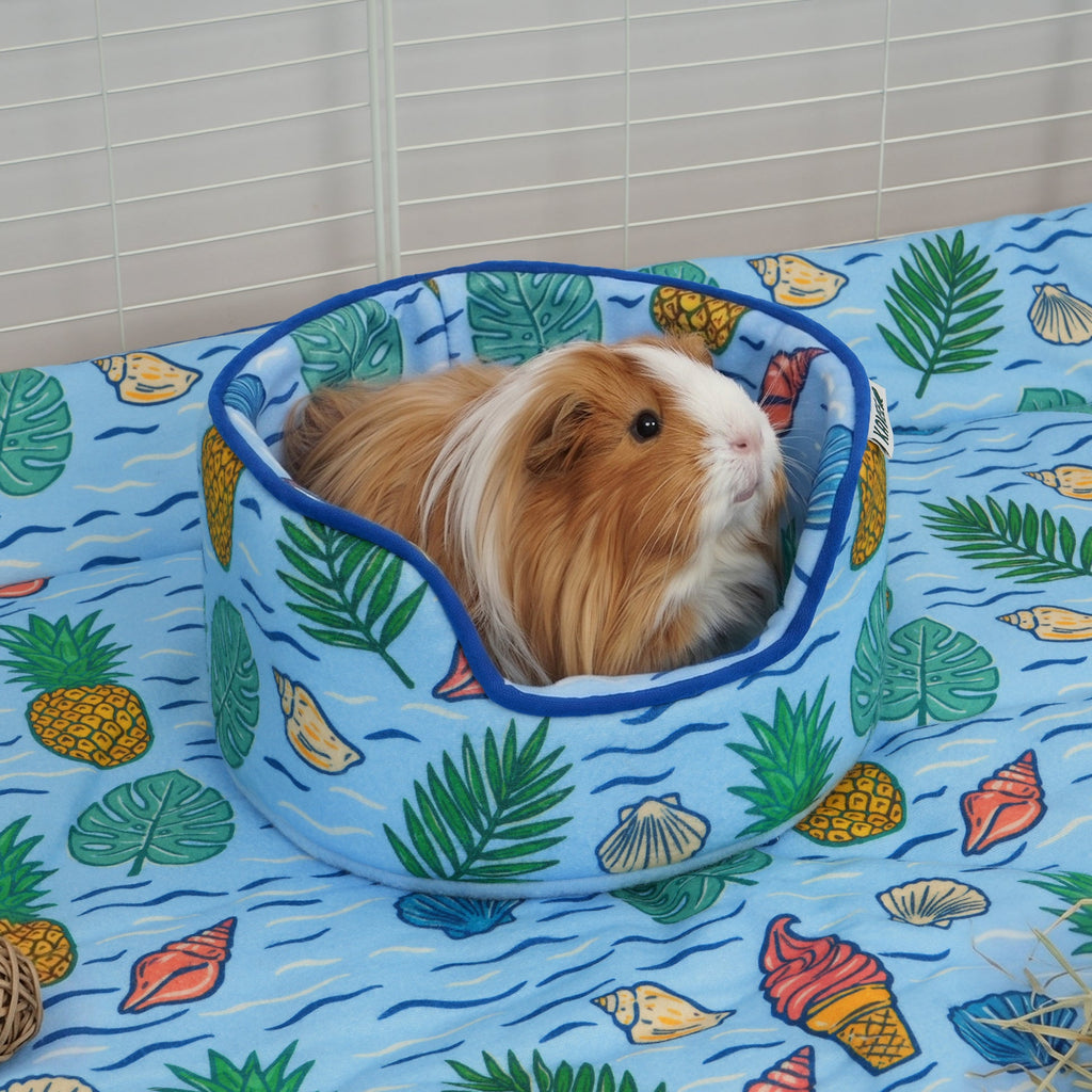 Guinea Pig Cuddle Cup product image 2