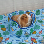 Guinea Pig Cuddle Cup product image 2