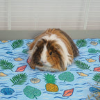 Guinea Pig Fleece Liner product image 2