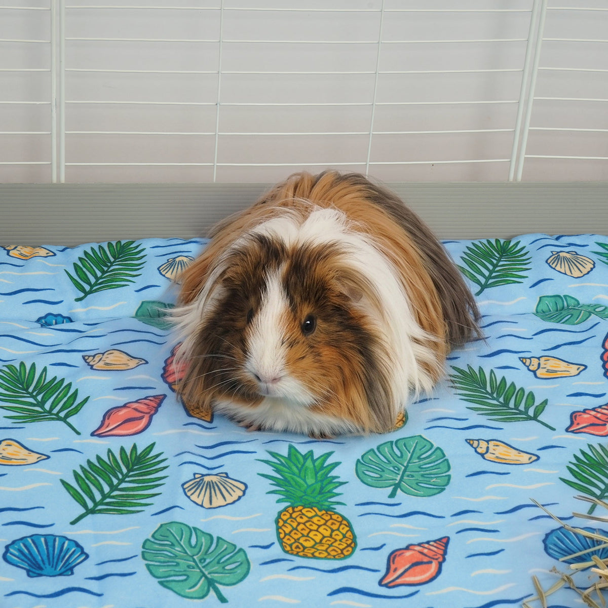 Guinea Pig Fleece Liner product image 2