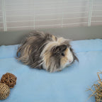 Guinea Pig Fleece Liner product image 11