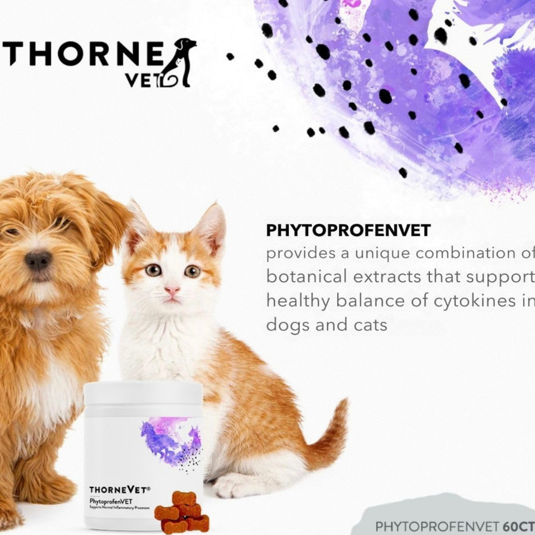 Dog Joint Supplement product image 4