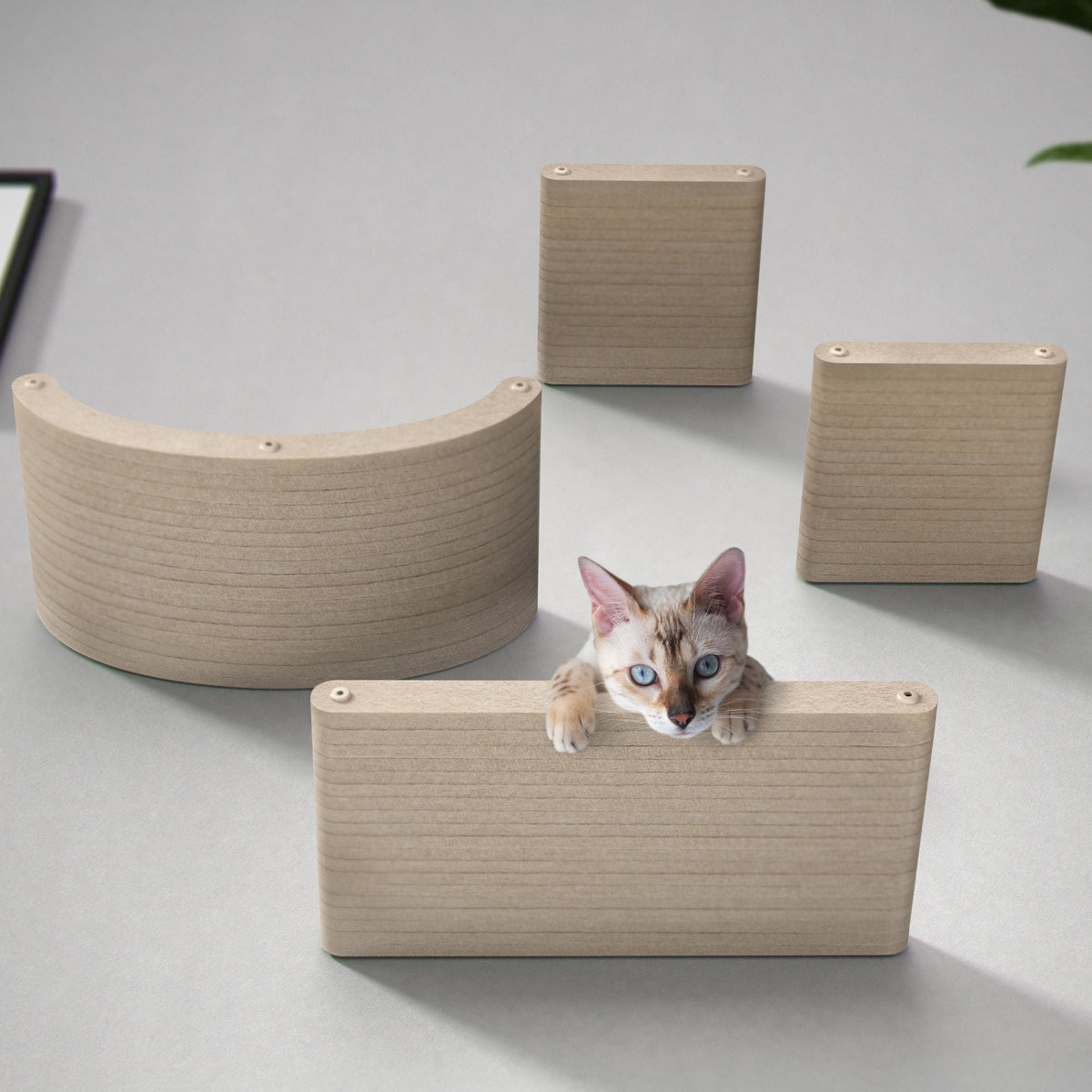Cat Climber Set product image 1