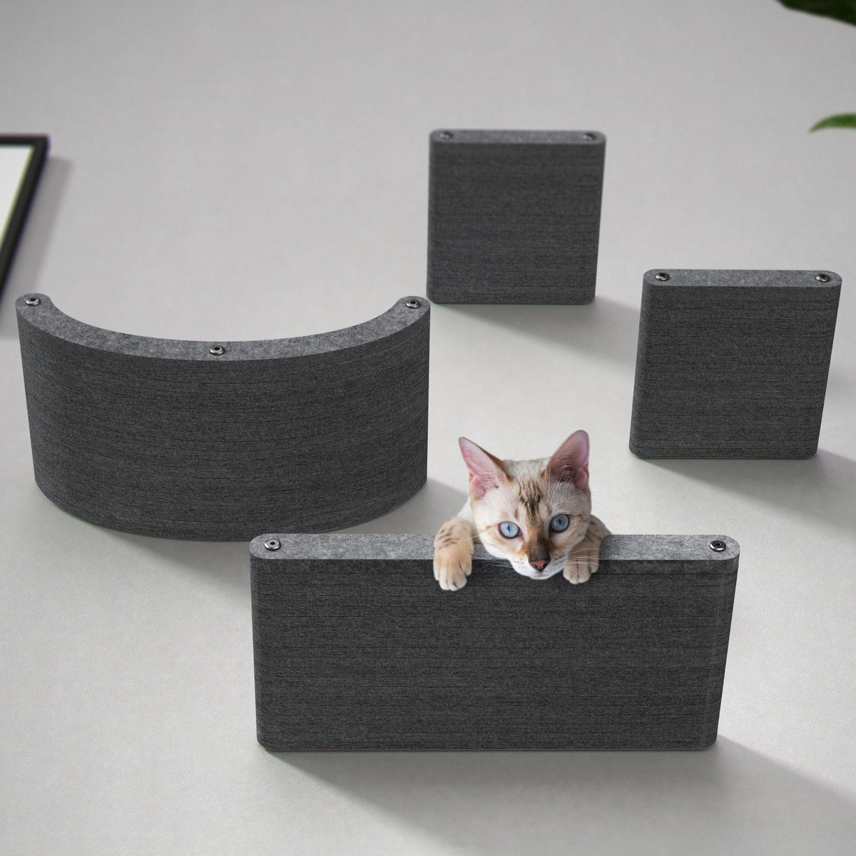 Cat Climbers product image 1