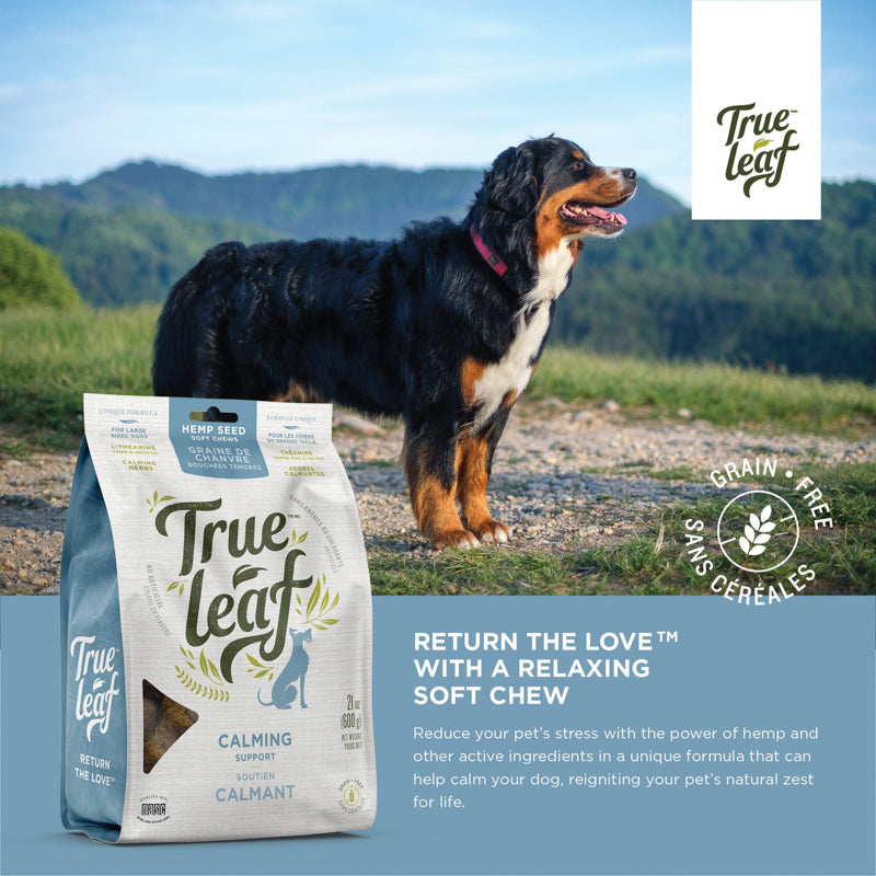 Calming Support Chews product image 2