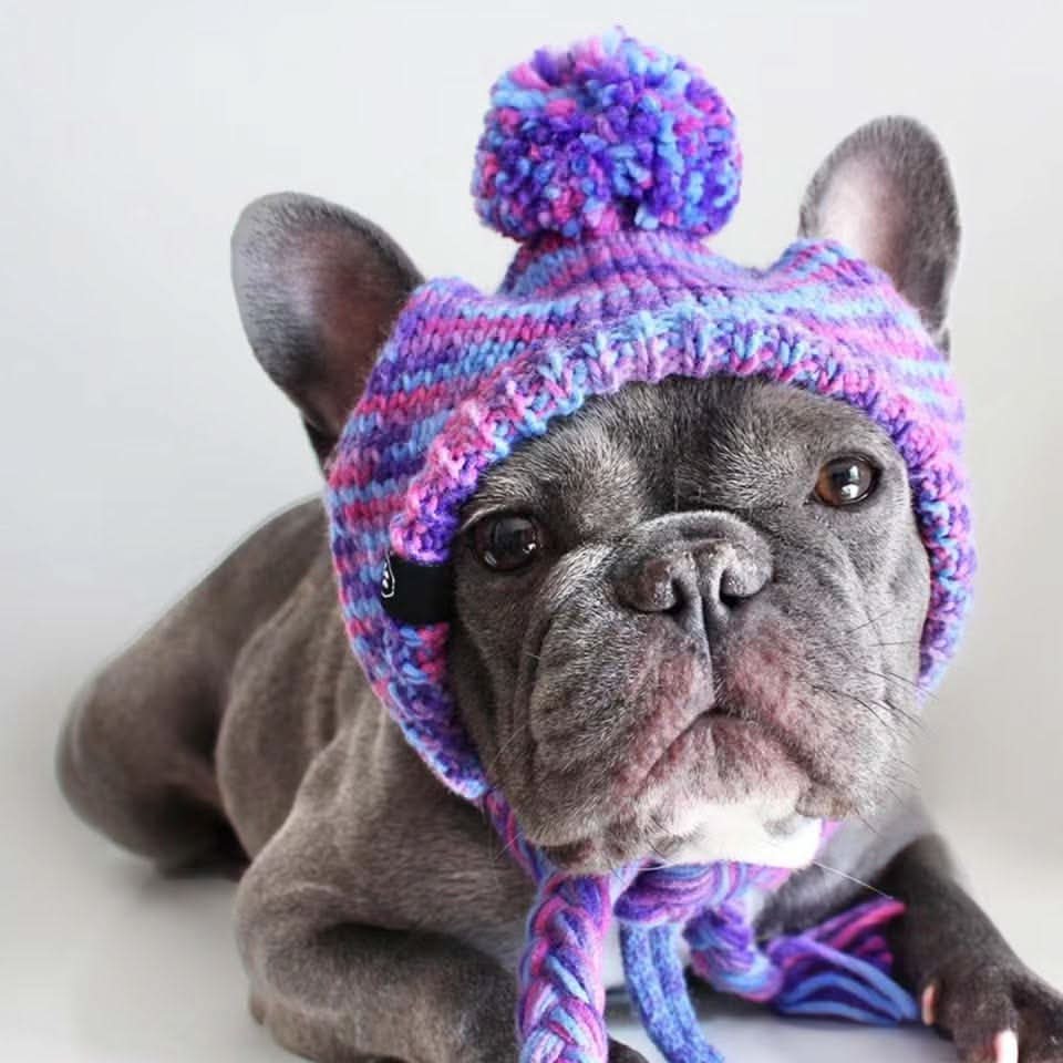 Knit Pom-Pom Dog Beanie product image 5