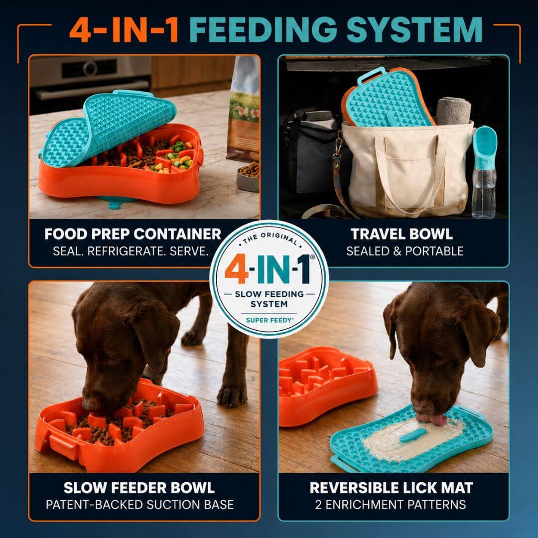 Slow Feeder Dog Bowl product image 2