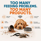 Slow Feeder Dog Bowl product image 4