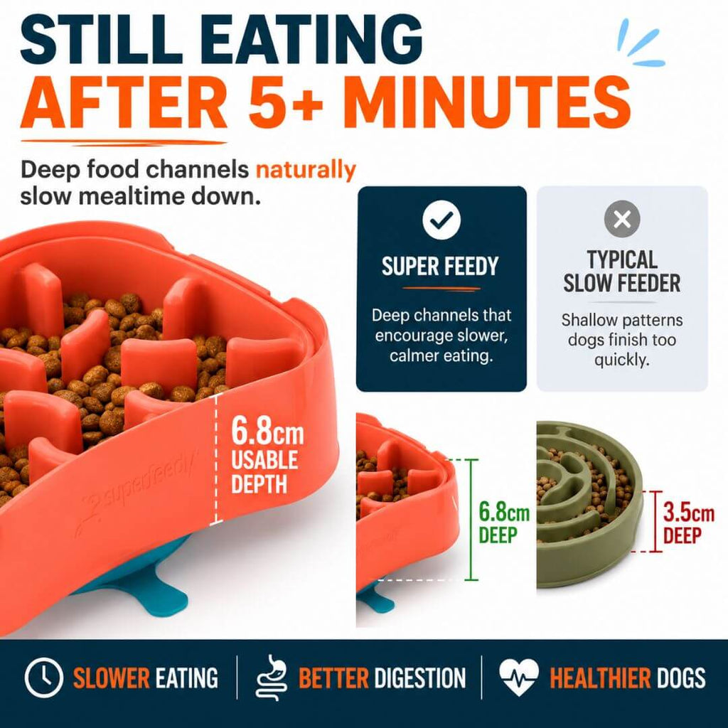 Slow Feeder Dog Bowl product image 5