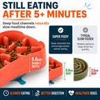 Slow Feeder Dog Bowl product image 5