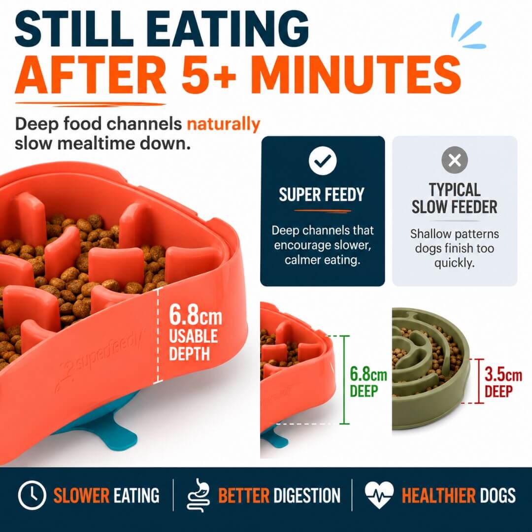 Slow Feeder Dog Bowl product image 5