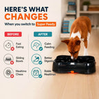 Slow Feeder Dog Bowl product image 7