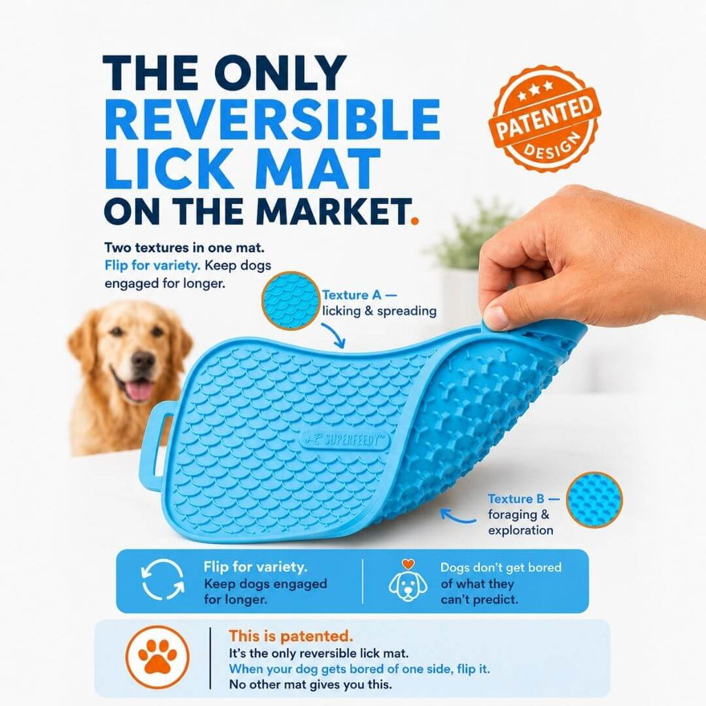 Slow Feeder Dog Bowl product image 8