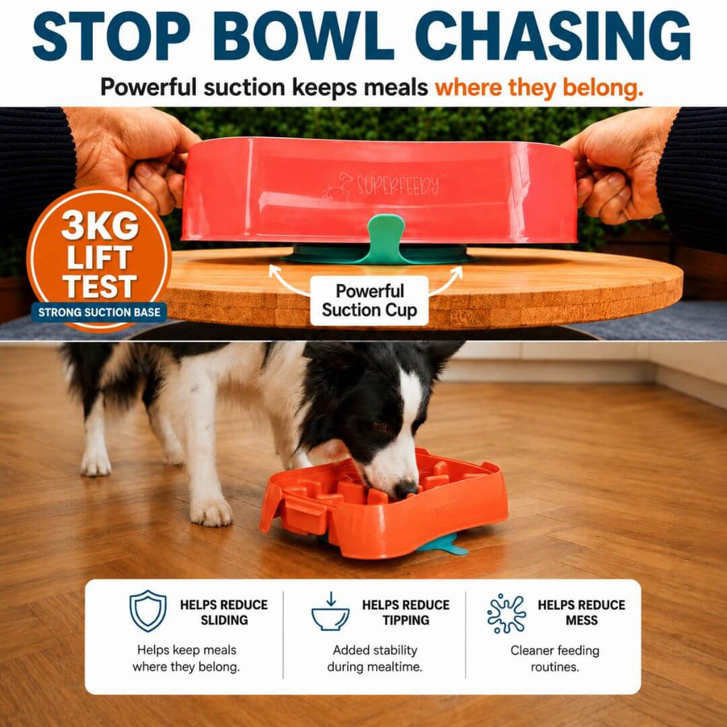 Slow Feeder Dog Bowl product image 10