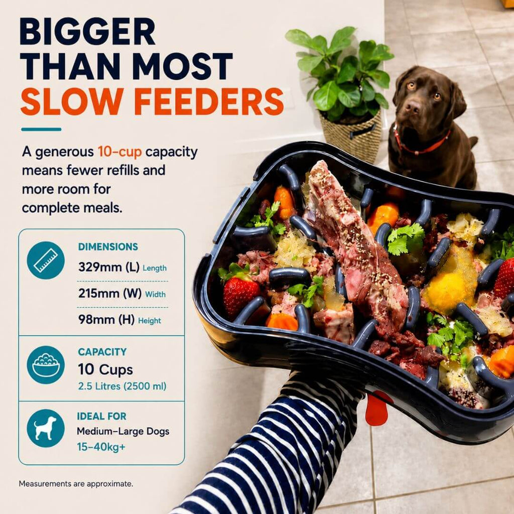 Slow Feeder Dog Bowl product image 11