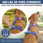 No-Pull Dog Harness Walking Set product image 4