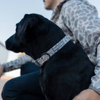Dog Collar product image 1