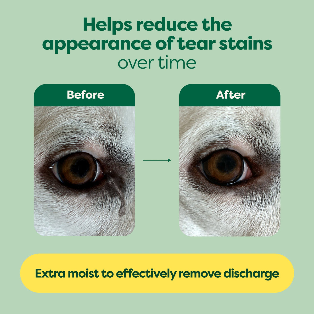 Dog Eye Wipes product image 6