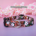 Padded Dog Collar product image 1