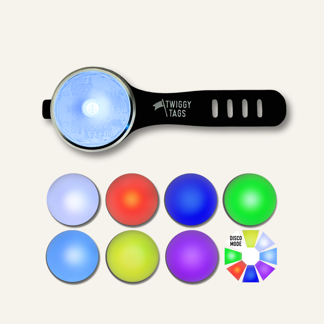 Dog Safety Light product image 1
