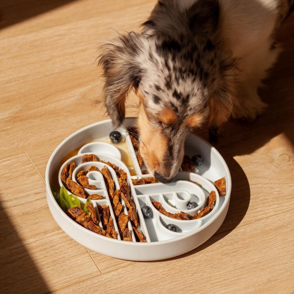 Slow Feeder Dog Bowl product image 2