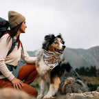 Portable Dog Bowl Bandana product image 2