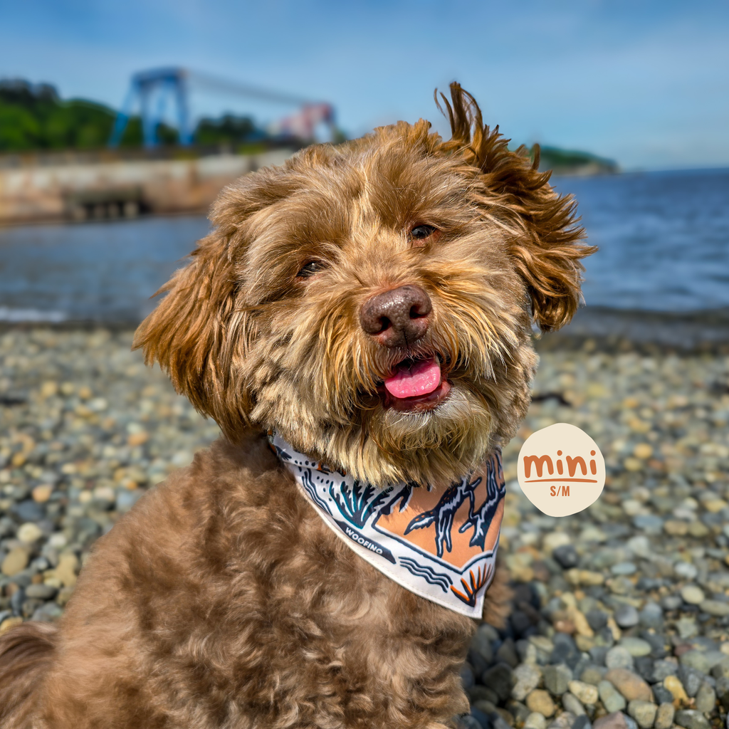 Portable Dog Bowl Bandana product image 16