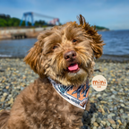 Portable Dog Bowl Bandana product image 16